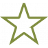 icon green star